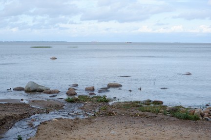 DSCF8059