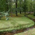 DSCF8092